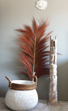 Afbeelding in Gallery-weergave laden, Wandhanger met veren en schelpen
