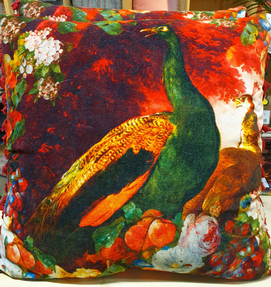 Kleurrijk kussen met pauw 60 x 60 cm